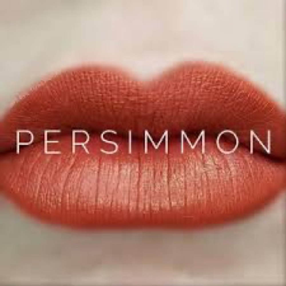 🔥Host Pick🔥 Lipsense by Sengence. Shade: Persimmon. NWT